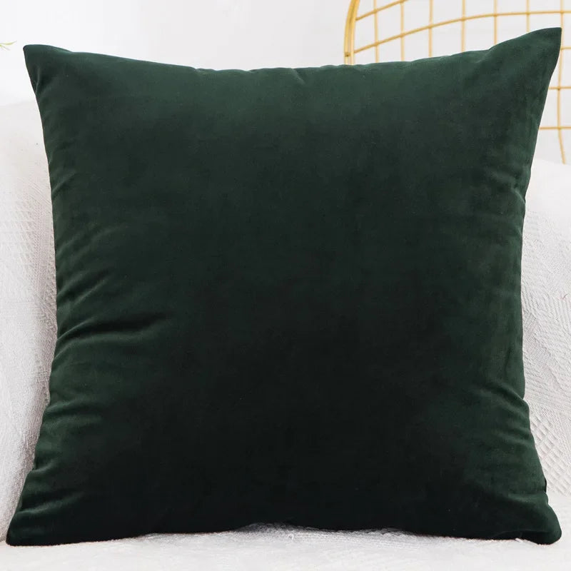 Coussin plaid Vert forêt 40x40 Mon-coussin.fr